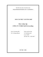 Báo cáo thực tập khoa kinh tế và kinh doanh quốc tế tại công ty tnhh t&m forwarding chi nhánh hà nội