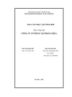 Báo cáo thực tập khoa kinh tế và kinh doanh quốc tế tại công ty cổ phần tập Đoàn miza