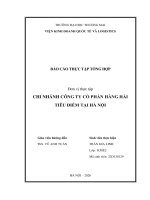 Báo cáo thực tập khoa kinh tế và kinh doanh quốc tế tại chi nhánh công ty cổ phần hàng hải tiêu điếm tại Hà Nội