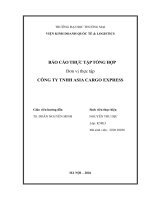 Báo cáo thực tập khoa kinh tế và kinh doanh quốc tế tại công ty tnhh asia cargo express