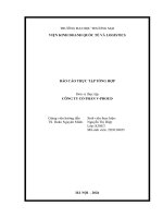 Báo cáo thực tập khoa kinh tế và kinh doanh quốc tế tại công ty cổ phần v proud