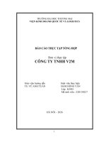 Báo cáo thực tập khoa kinh tế và kinh doanh quốc tế tại công ty tnhh v2m