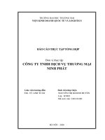 Báo cáo thực tập khoa kinh tế và kinh doanh quốc tế tại công ty tnhh dịch vụ thương mại ninh phát