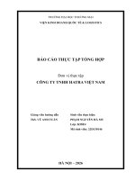 Báo cáo thực tập khoa kinh tế và kinh doanh quốc tế tại công ty tnhh hatra việt nam
