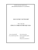 Báo cáo thực tập khoa kinh tế và kinh doanh quốc tế tại công ty tnhh victor việt nam