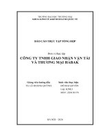 Báo cáo thực tập khoa kinh tế và kinh doanh quốc tế tại công ty tnhh giao nhận vận tải và thương mại habak