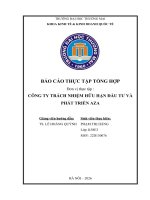 Báo cáo thực tập khoa kinh tế và kinh doanh quốc tế tại công ty tnhh Đầu tư và phát triển aza