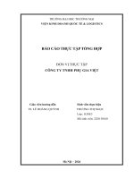 Báo cáo thực tập khoa kinh tế và kinh doanh quốc tế tại công ty tnhh phụ gia việt
