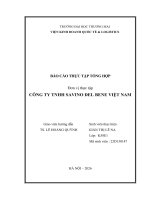 Báo cáo thực tập khoa kinh tế và kinh doanh quốc tế tại công ty tnhh savino del bene việt nam