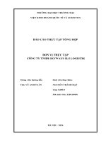 Báo cáo thực tập khoa kinh tế và kinh doanh quốc tế tại công ty tnhh skyways sls logistik
