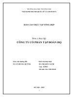Báo cáo thực tập khoa kinh tế và kinh doanh quốc tế tại công ty cổ phần tập Đoàn hq