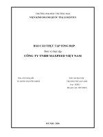 Báo cáo thực tập khoa kinh tế và kinh doanh quốc tế tại công ty tnhh maxpeed việt nam