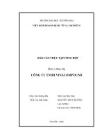 Báo cáo thực tập khoa kinh tế và kinh doanh quốc tế tại công ty tnhh vinacompound