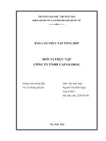 Báo cáo thực tập khoa kinh tế và kinh doanh quốc tế tại công ty tnhh cap global