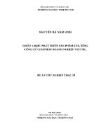 Chiến lƣợc phát triển sản phẩm của tổng công ty giải pháp doanh nghiệp viettel