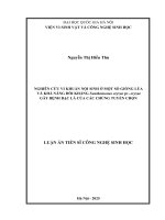 01050005797 nghiên cứu vi khuẩn nội sinh Ở một số giống lúa và khả năng Đối kháng xanthomonas oryzae pv  oryzae gây bệnh bạc lá của các chủng tuyển chọn