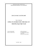 Báo cáo thực tập khoa kinh tế và kinh doanh quốc tế tại công ty cổ phần xúc tiến Đầu tư thương mại việt nam