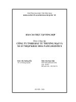 Báo cáo thực tập khoa kinh tế và kinh doanh quốc tế tại công ty tnhh Đầu tư thương mại và xuất nhập khẩu hoa nam logistics