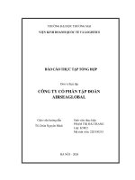 Báo cáo thực tập khoa kinh tế và kinh doanh quốc tế tại công ty cổ phần tập Đoàn airseaglobal