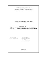 Báo cáo thực tập khoa kinh tế và kinh doanh quốc tế tại công ty tnhh shinsegae i t s vina