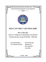 Báo cáo thực tập khoa kinh tế và kinh doanh quốc tế tại công ty tnhhh xuất nhập khẩu tuệ hương
