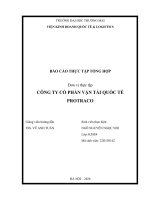 Báo cáo thực tập khoa kinh tế và kinh doanh quốc tế tại công ty cổ phần vận tải quốc tế protraco
