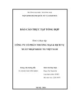 Báo cáo thực tập khoa kinh tế và kinh doanh quốc tế tại công ty cổ phần thương mại và dịch vụ xuất nhập khẩu tg việt nam