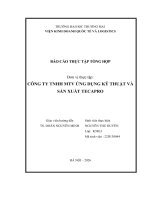 Báo cáo thực tập khoa kinh tế và kinh doanh quốc tế tại công ty tnhh mtv Ứng dụng kỹ thuật và sản xuất tecapro