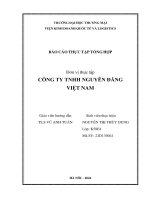 Báo cáo thực tập khoa kinh tế và kinh doanh quốc tế tại công ty tnhh nguyên Đăng việt nam