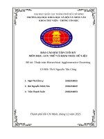 Báo cáo bài tập cuối kỳ môn học lưu trữ và khai thác dữ liệu Đề tài thuật toán hierarchical agglomerative clustering