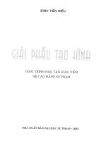 GIẢI PHẨU TẠO HÌNH