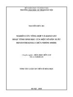 Tom tat nghiên cứu tổng hợp và khảo sát hoạt tính sinh học của một số dẫn xuất benzothiazole chứa nhóm amide
