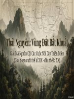 Thái Nguyên vùng đất bất khuất - ngọn đuốc kháng chiến rực cháy