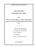 Phân tích các mô hình nghiên cứu xã hội học về hiện tượng tội phạm, cho ví dụ cụ thể về tội phạm xâm phạm sức khỏe, Ở mỗi mô hình