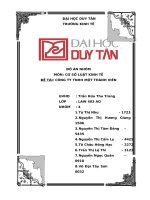 Đồ Án nhóm môn cơ sở luật kinh tế Đề tài công ty tnhh một thành viên