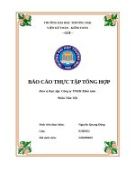 Báo cáo thực tập tổng hợp Đơn vị thực tập công ty tnhh kiểm toán nhân tâm việt
