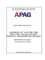 Luận văn thạc sĩ Quản lý công: Tạo động lực làm việc cho công chức Ban Tổ chức Thành ủy Thành phố Hồ Chí Minh