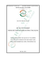 Hoàn Thiện Công Tác Quản Lý Tài Chính Tại Công Ty Cổ Phần Ô Tô Việt Nhật Anh, Khu Công Nghiệp Bàu Xéo, Tỉnh Đồng Nai.pdf