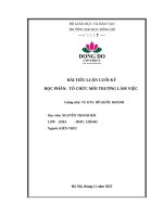 BÀI TIỂU LUẬN CUỐI KỲ HỌC PHẦN:  TỔ CHỨC MÔI TRƯỜNG LÀM VIỆC