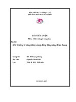 Môi trường ở nông thôn vùng đồng bằng sông Cửu Long