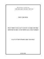 Phát triển năng lực cảm xúc xã hội cho học sinh trung học cơ sở thông qua trải nghiệm