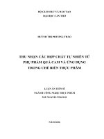 Thu nhận các hợp chất tự nhiên từ phụ phẩm quả cam và Ứng dụng trong chế biến thực phẩm