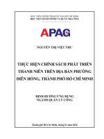 Luận văn thạc sĩ Quản lý công: Thực hiện chính sách phát triển thanh niên trên địa bàn phường Diên Hồng, Thành phố Hồ Chí Minh