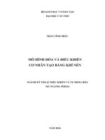 Mô hình hóa và Điều khiển cơ nhân tạo bằng khí nén