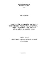 Nghiên cứu bệnh giảm bạch cầu trên mèo do feline panleukopenia virus tại một số tỉnh, thành Đồng bằng sông cửu long