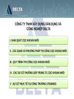 Delta   quy trinh thi cong coc nhoi