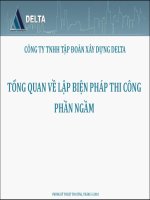 Delta   tong quan ve lap bptc tang ham