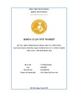 Khóa luận tốt nghiệp Ngân hàng: Phát triển hoạt động cho vay tiêu dùng tại Ngân hàng Thương mại cổ phần Đầu tư và Phát triển Việt Nam chi nhánh Hà Nội