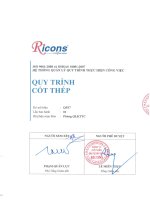 Ricons   quy trình cốt thép