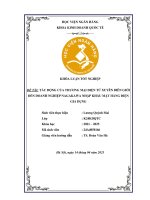 Khóa luận tốt nghiệp Kinh doanh quốc tế: Tác động của thương mại điện tử xuyên biên giới đến doanh nghiệp Nagakawa nhập khẩu mặt hàng điện gia dụng